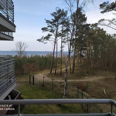 Blue Apartament Дзивновек Экстерьер фото