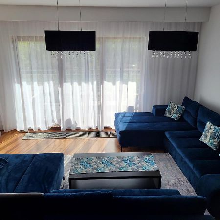 Blue Apartament Дзивновек Экстерьер фото