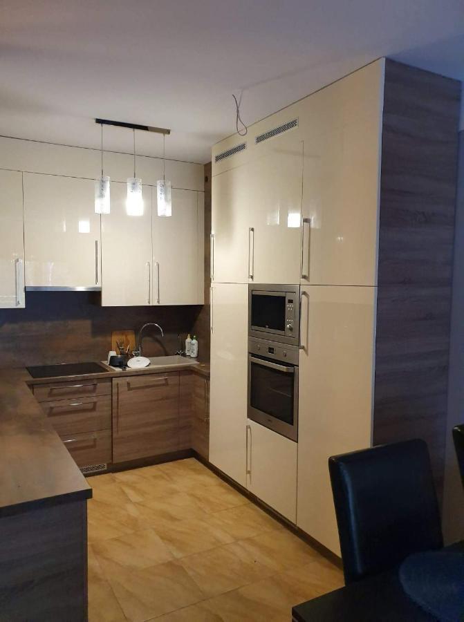 Blue Apartament Дзивновек Экстерьер фото