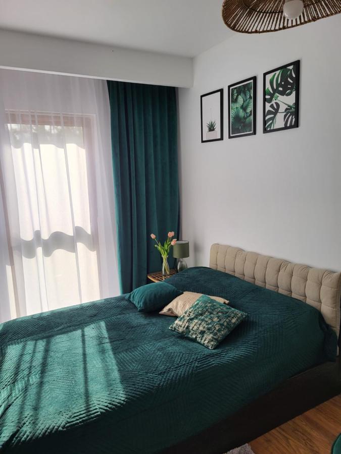 Blue Apartament Дзивновек Экстерьер фото