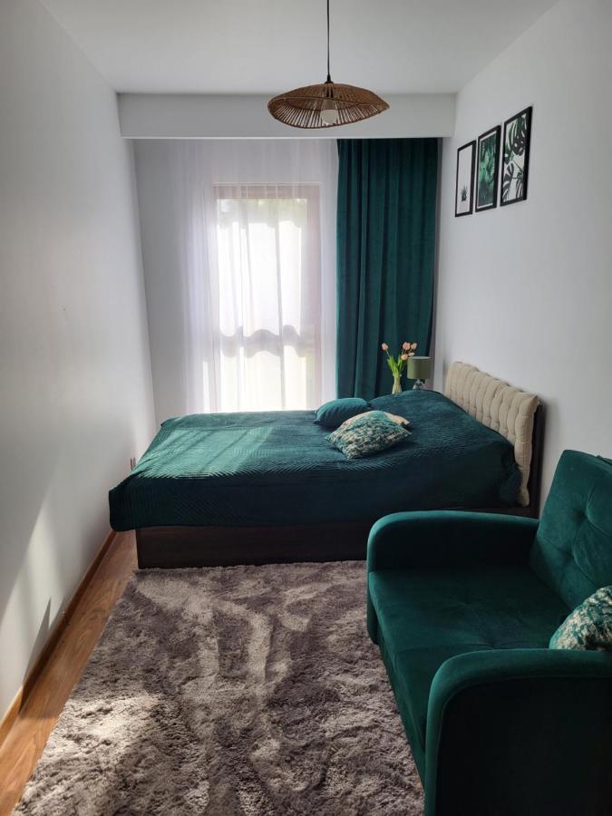 Blue Apartament Дзивновек Экстерьер фото